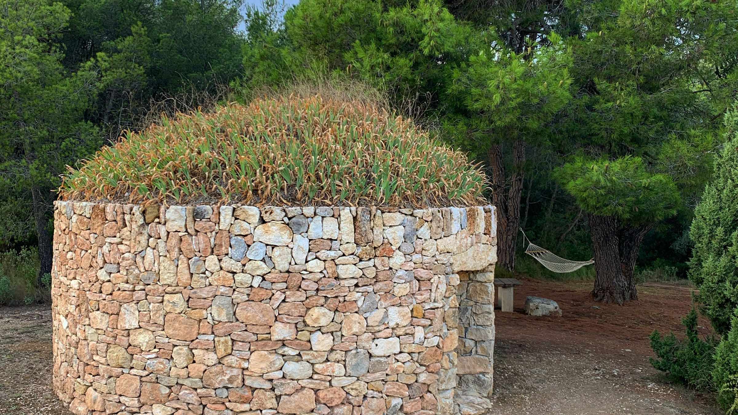 Barraca entre Vinyes: Barraca Pi Gros