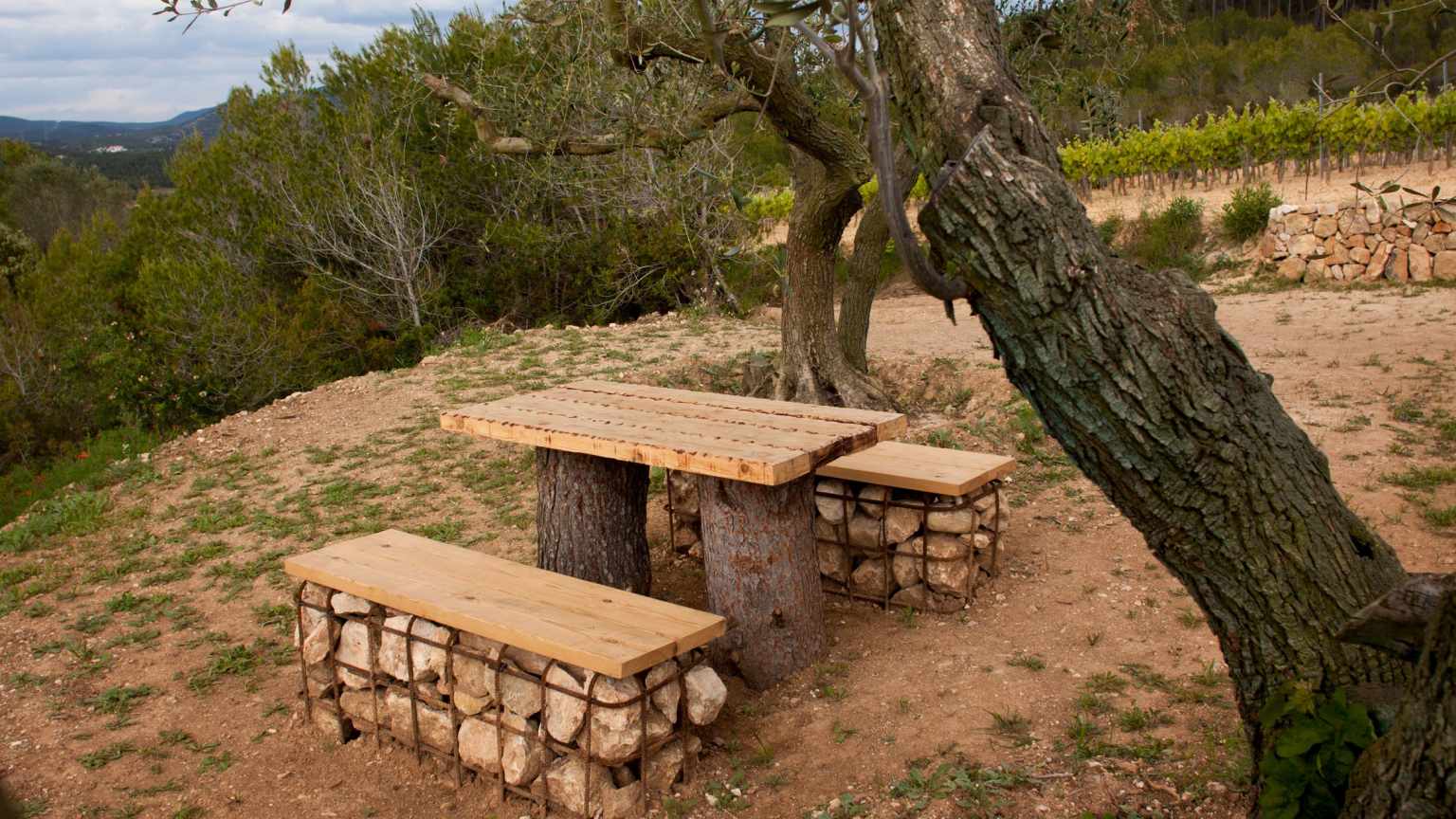 barraca entre vinyes - barraca el forn barraca entre vinyes - barraca el forn